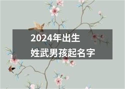 2024年出生姓武男孩起名字