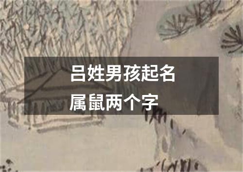 吕姓男孩起名属鼠两个字