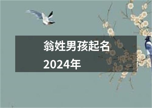 翁姓男孩起名2024年