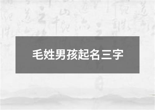 毛姓男孩起名三字