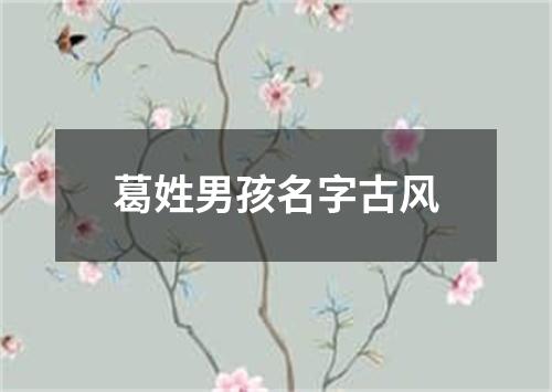 葛姓男孩名字古风