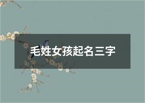 毛姓女孩起名三字