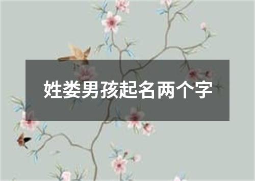 姓娄男孩起名两个字