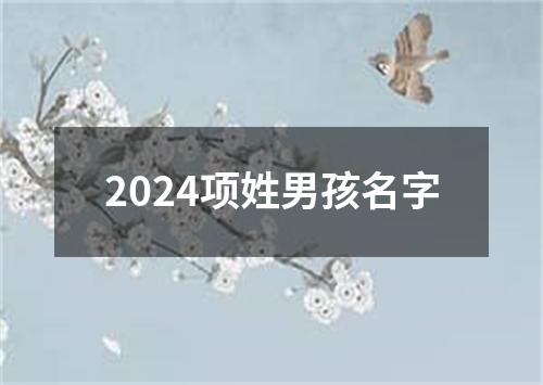 2024项姓男孩名字