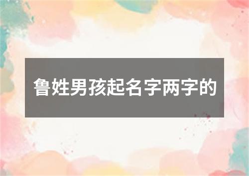 鲁姓男孩起名字两字的