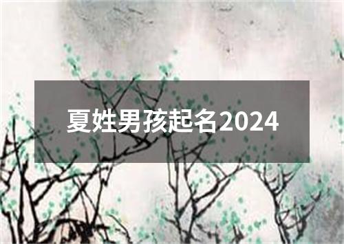 夏姓男孩起名2024