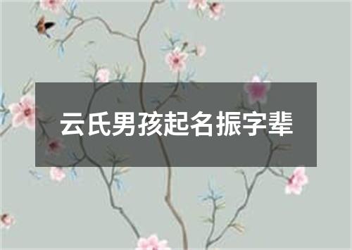 云氏男孩起名振字辈