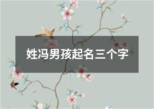 姓冯男孩起名三个字