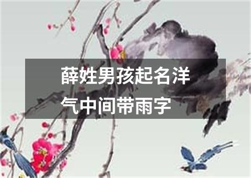 薛姓男孩起名洋气中间带雨字