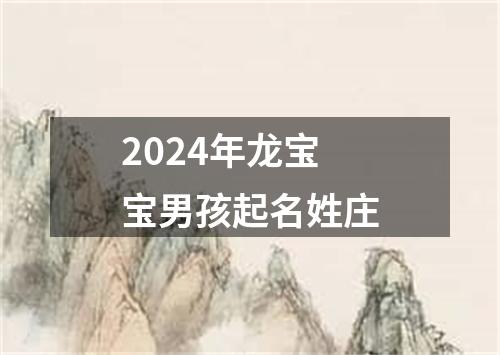 2024年龙宝宝男孩起名姓庄