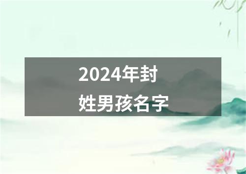 2024年封姓男孩名字