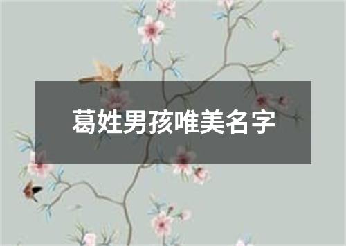 葛姓男孩唯美名字