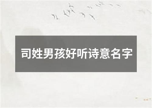 司姓男孩好听诗意名字