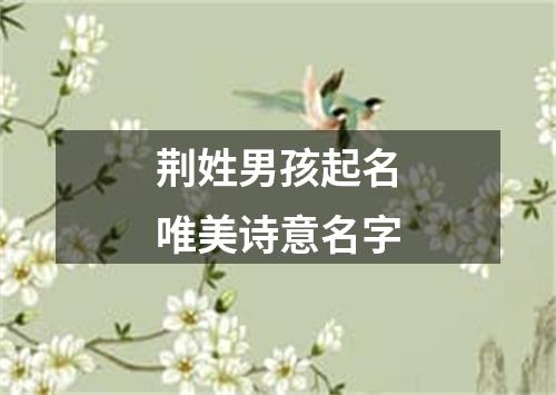 荆姓男孩起名唯美诗意名字