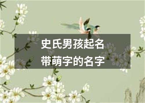 史氏男孩起名带萌字的名字