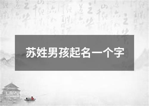 苏姓男孩起名一个字