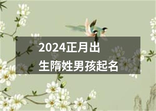 2024正月出生隋姓男孩起名