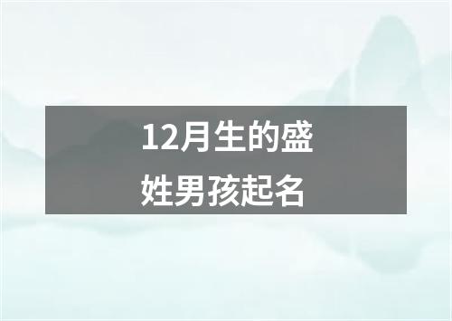 12月生的盛姓男孩起名