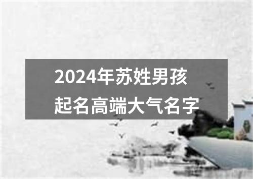 2024年苏姓男孩起名高端大气名字