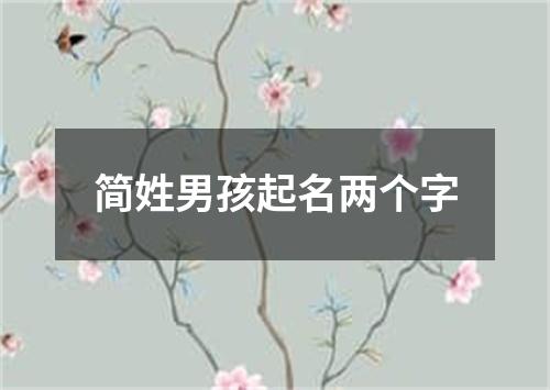 简姓男孩起名两个字