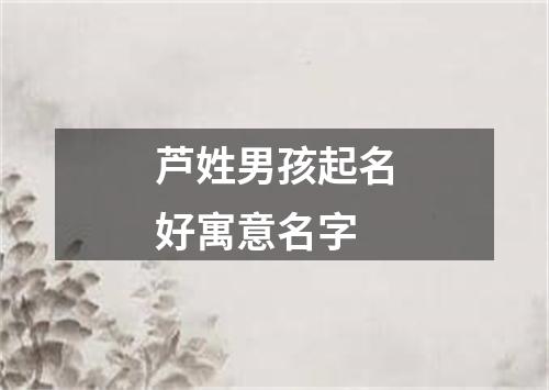 芦姓男孩起名好寓意名字