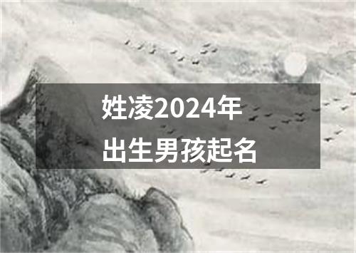 姓凌2024年出生男孩起名