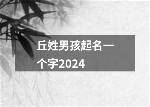 丘姓男孩起名一个字2024