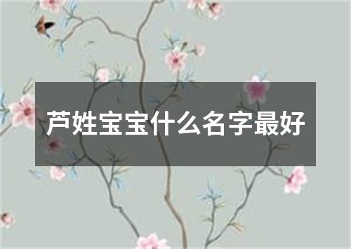 芦姓宝宝什么名字最好