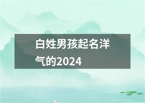 白姓男孩起名洋气的2024