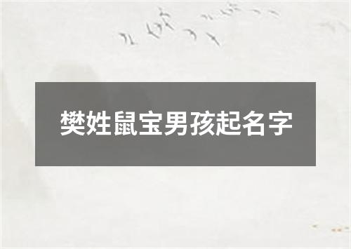 樊姓鼠宝男孩起名字