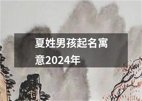 夏姓男孩起名寓意2024年