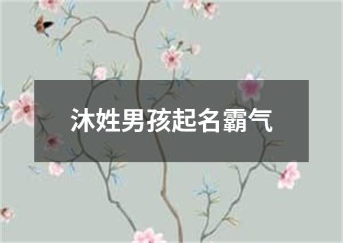 沐姓男孩起名霸气