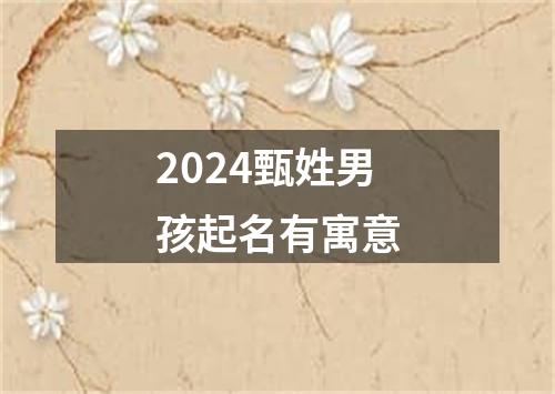 2024甄姓男孩起名有寓意