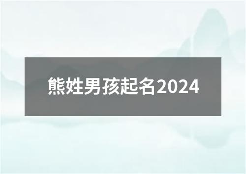 熊姓男孩起名2024