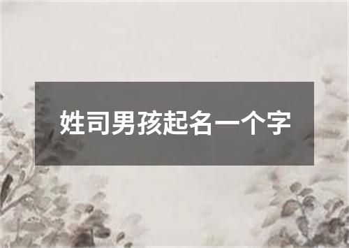 姓司男孩起名一个字