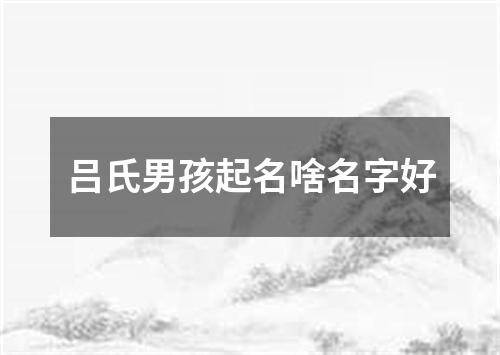 吕氏男孩起名啥名字好