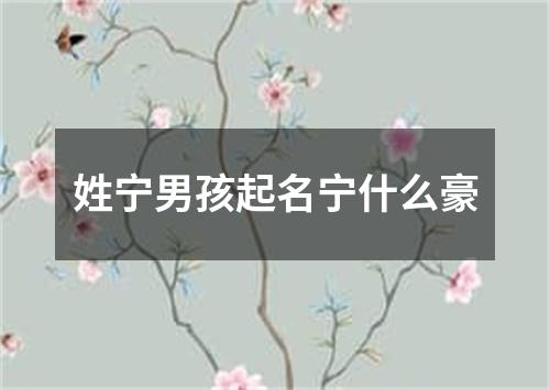 姓宁男孩起名宁什么豪