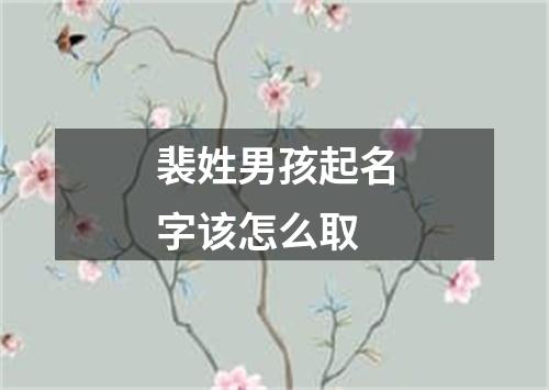 裴姓男孩起名字该怎么取