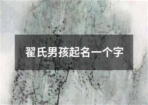 翟氏男孩起名一个字