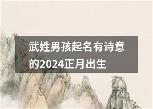 武姓男孩起名有诗意的2024正月出生