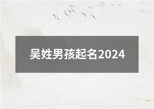 吴姓男孩起名2024