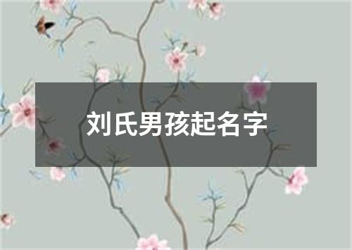 刘氏男孩起名字