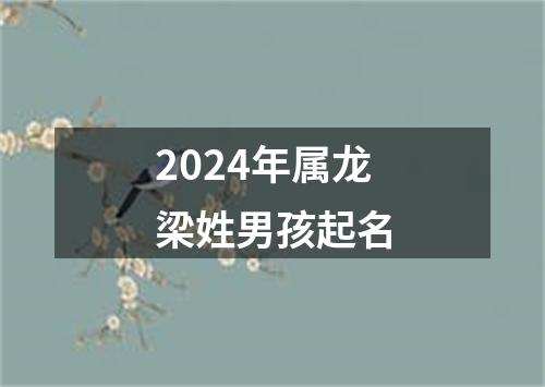 2024年属龙梁姓男孩起名