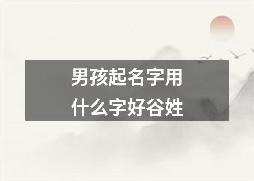 男孩起名字用什么字好谷姓