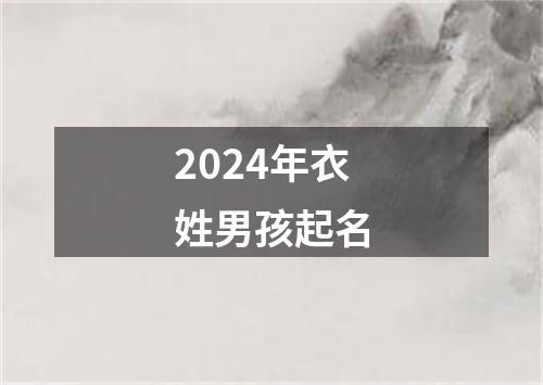 2024年衣姓男孩起名