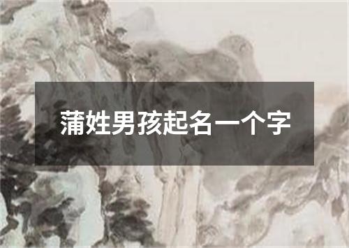 蒲姓男孩起名一个字