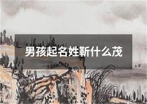 男孩起名姓靳什么茂