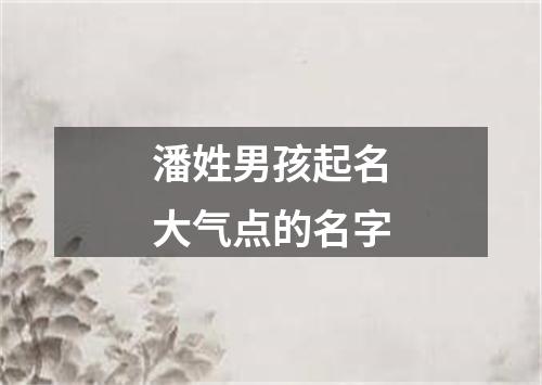 潘姓男孩起名大气点的名字