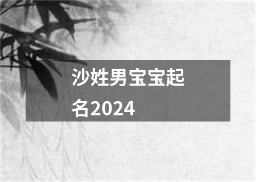 沙姓男宝宝起名2024