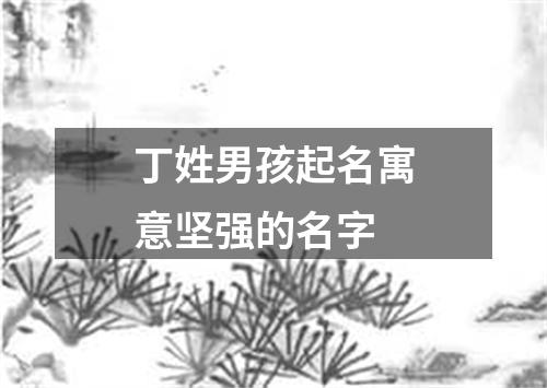 丁姓男孩起名寓意坚强的名字